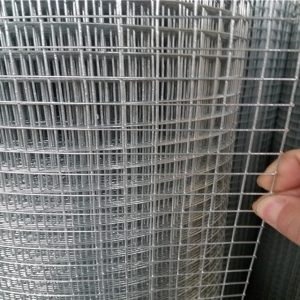 Stainless Steel Welded Mesh