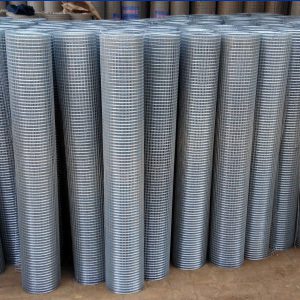 PVC Coated vs Galvanized Welded Wire Mesh